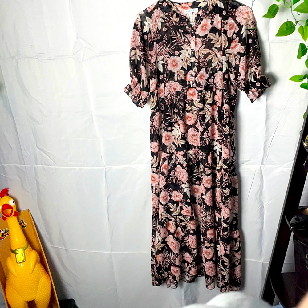 Ophelia Roe Sheer Floral Maxi Dress